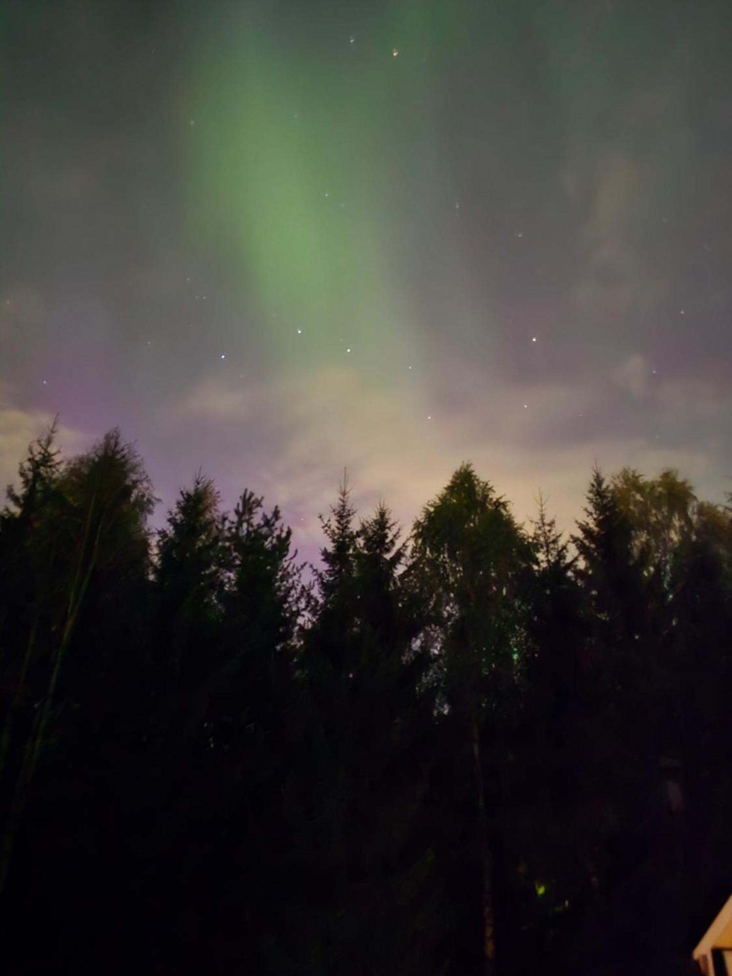 Pare Rovaniemi